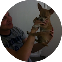 Kristian Klint Enevoldsen profile picture